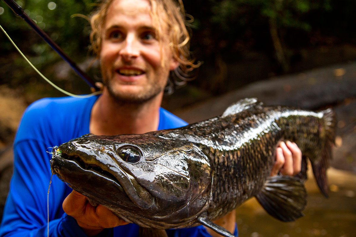 peche-aimara-amazonie-mouche-guyane2