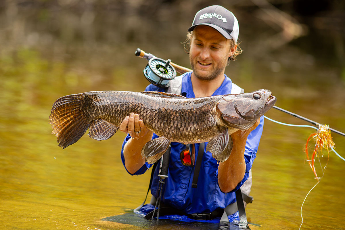 peche-aimara-amazonie-mouche