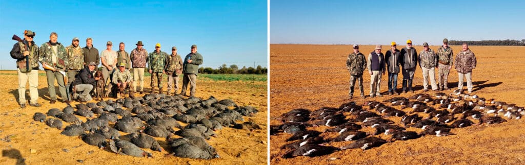 Voyage De Chasse En Afrique Du Sud - Petit Gibier Et Gibier D'eau