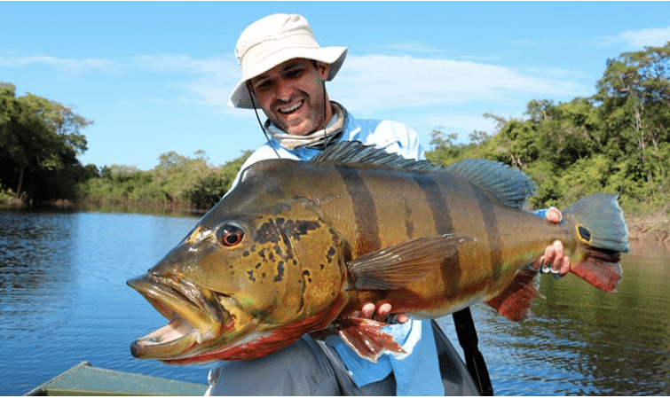 A la pêche du peacock bass en Colombie