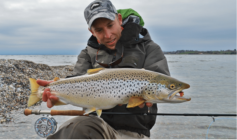 Danemark : Pêche de la truite de mer