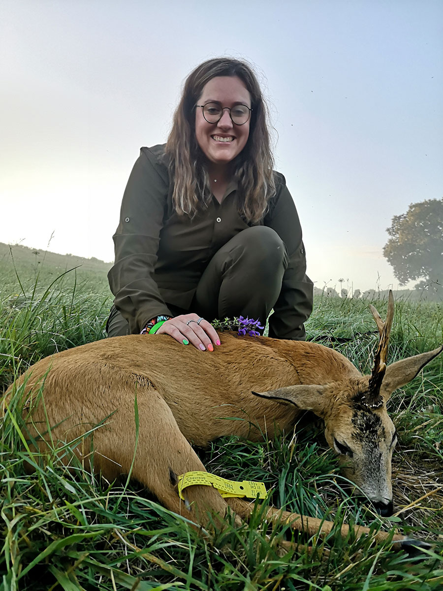 brocard-licorne-chasseTarn-et-Garonne3