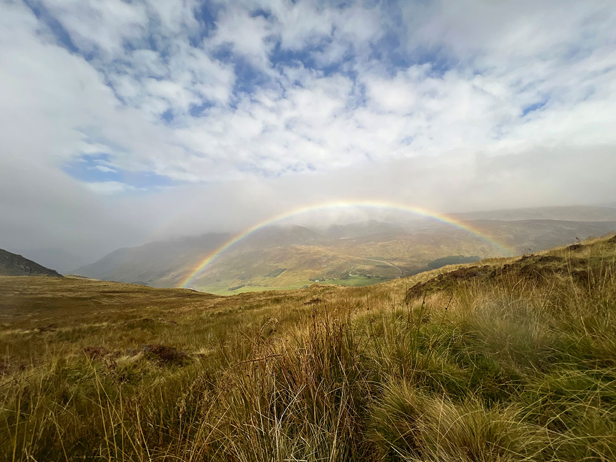 chasse du cerf en Ecosse