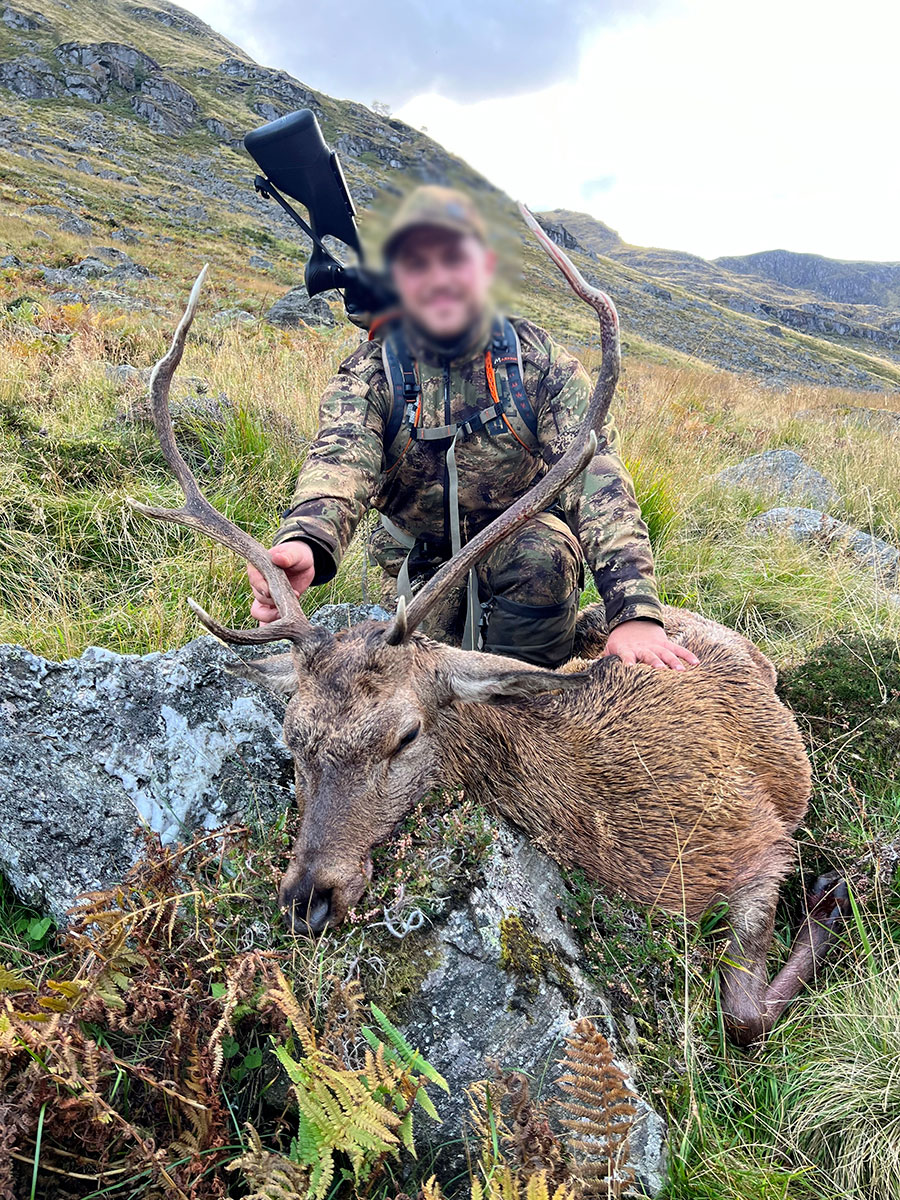 chasse du cerf en Ecosse