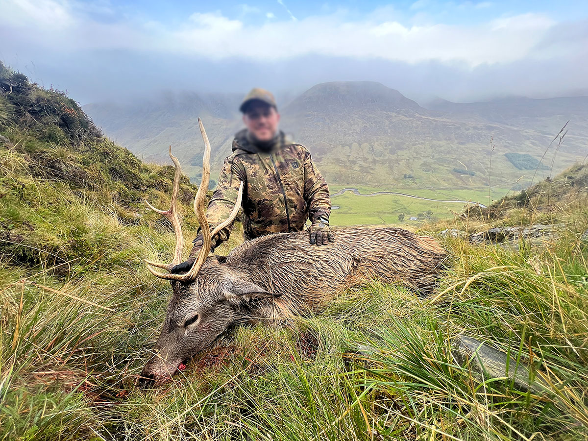 chasse du Cerf en Ecosse