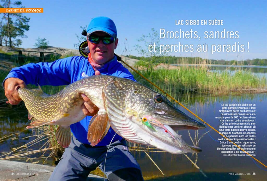 brochet à la mouche sur le Lac Sibbo