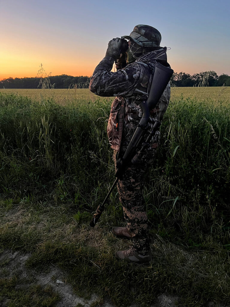 chasse du chevreuil à l'approche