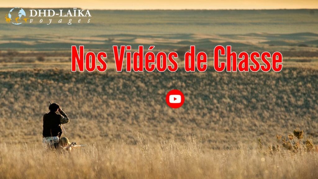 videos de chasse