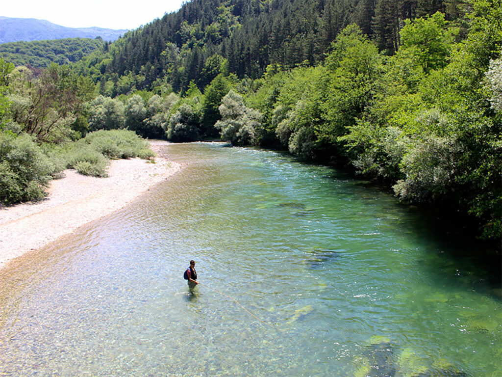 pêche à la mouche en Croatie : à la découverte de la truite à bouche molle