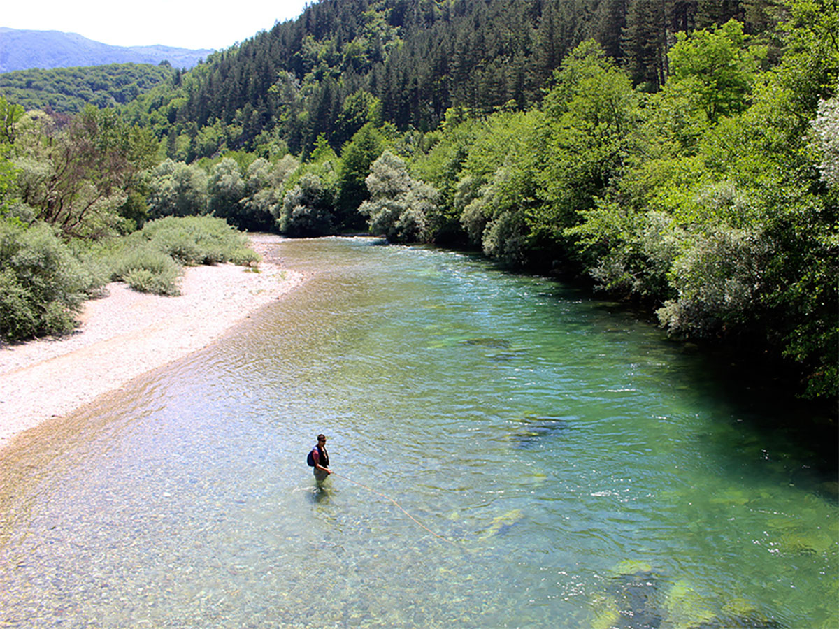 pêche à la mouche en Croatie : à la découverte de la truite à bouche molle