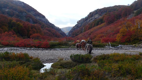 Biotope Parc National 3