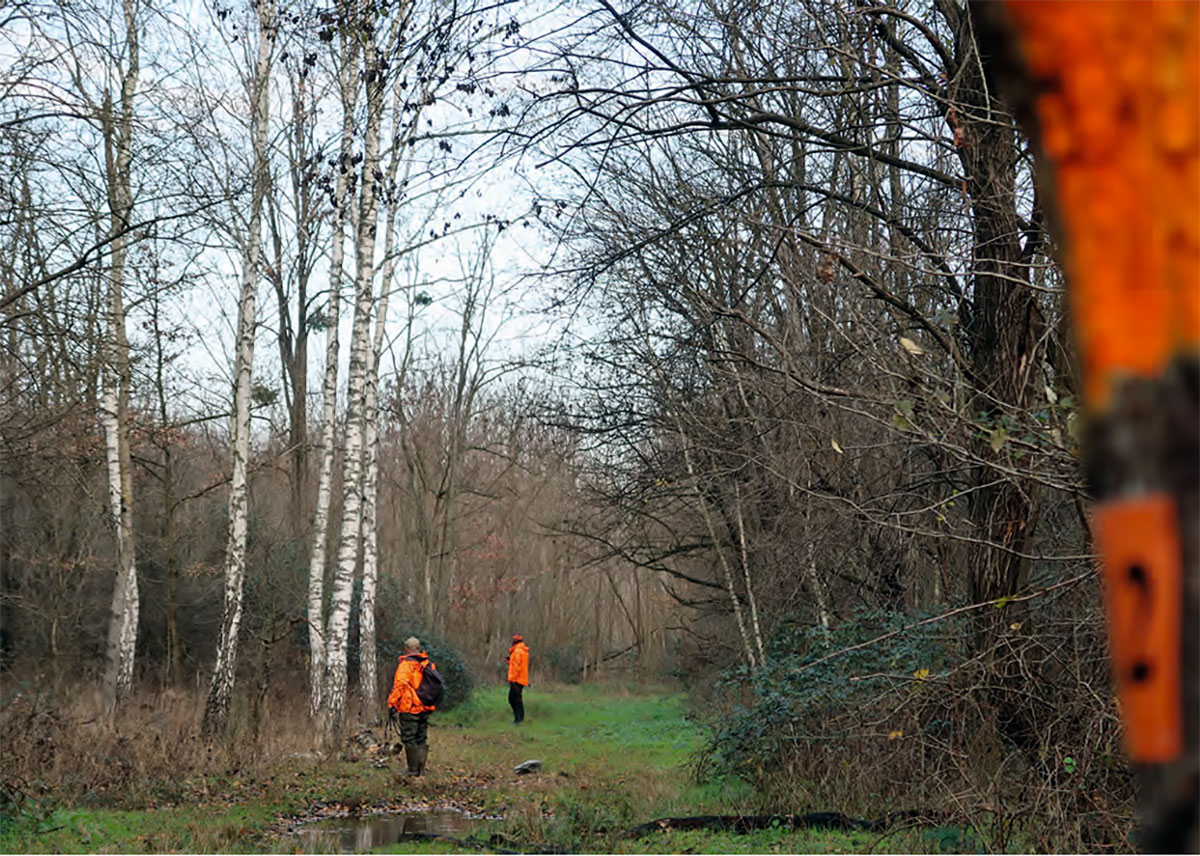 Chasse du grand gibier en Hongrie